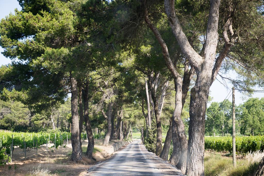 Vila Chateau Canet Rustiques Exteriér fotografie