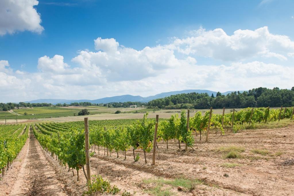 Vila Chateau Canet Rustiques Exteriér fotografie